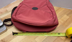 Pacsafe RFID Blocking Small Backpack Anti Theft Citysafe CX Convertible Sling