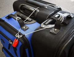 Durable 3.3ft Double Loop Cable Lock Set – Perfect for Travel Security Needs