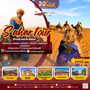 Sahara Tour Par avion